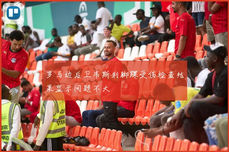 罗马边后卫韦斯利脚踝受伤检查结果显示问题不大