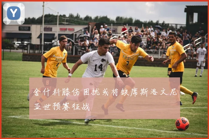 舍什科膝伤困扰或将缺席斯洛文尼亚世预赛征战