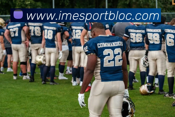 IM电竞服务体系