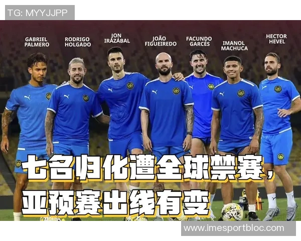 七名归化球员起诉马来西亚足协索赔因违规禁赛一年事件引发关注
