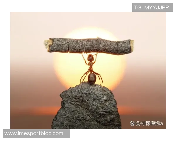 文班坚定信念面对强敌我们将不断提升自我迎接挑战